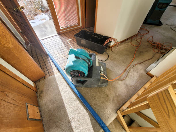 Best 24/7 water damage repair  in Caoncito, NM