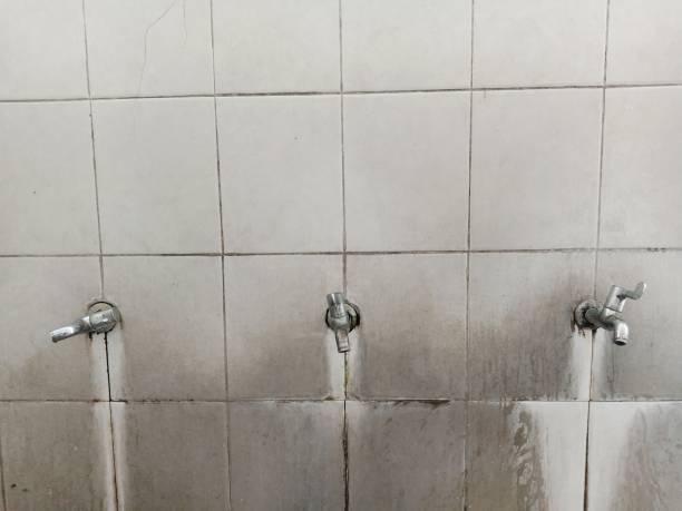 Best 24-hour water damage restoration  in Caoncito, NM
