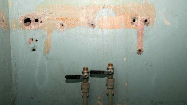 Best Carpet water damage restoration  in Caoncito, NM