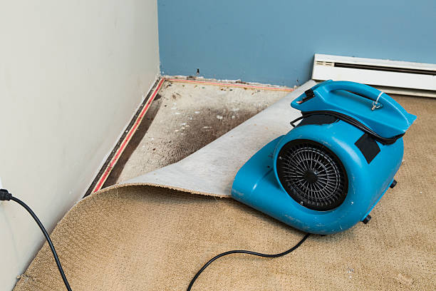 Best Basement water damage restoration  in Caoncito, NM